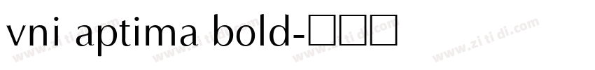 vni aptima bold字体转换